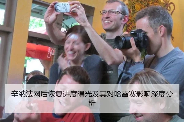 辛纳法网后恢复进度曝光及其对哈雷赛影响深度分析